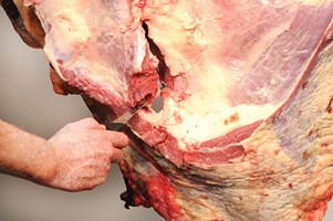 Meat Cut Spec Step 1